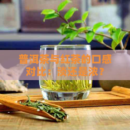 普洱茶与红茶的口感对比：淡还是浓？