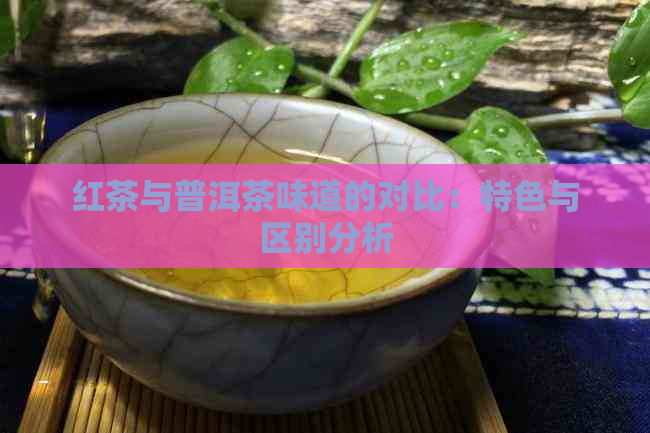 红茶与普洱茶味道的对比：特色与区别分析