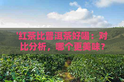 '红茶比普洱茶好喝：对比分析，哪个更美味？'