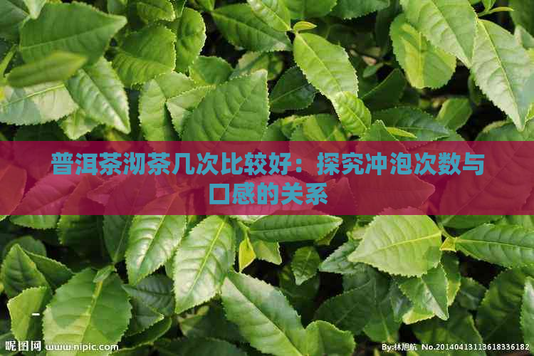 普洱茶沏茶几次比较好：探究冲泡次数与口感的关系