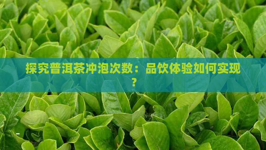 探究普洱茶冲泡次数：品饮体验如何实现？