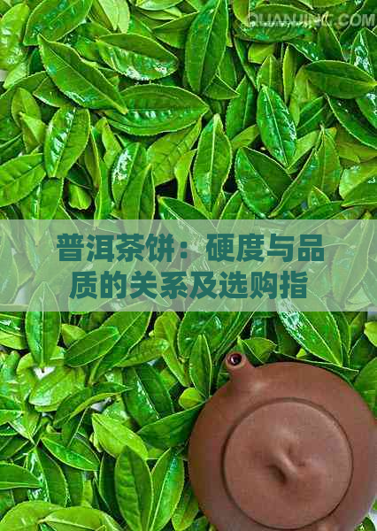 普洱茶饼：硬度与品质的关系及选购指南