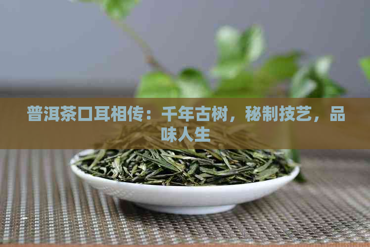 普洱茶口耳相传：千年古树，秘制技艺，品味人生