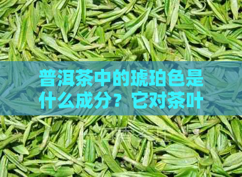 普洱茶中的琥珀色是什么成分？它对茶叶品质和口感的影响是怎样的？