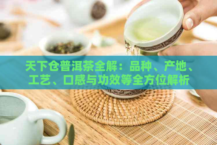 天下仓普洱茶全解：品种、产地、工艺、口感与功效等全方位解析