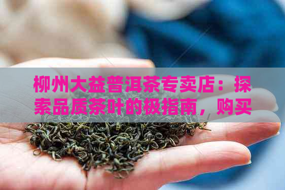 柳州大益普洱茶专卖店：探索品质茶叶的极指南，购买及品鉴心得分享