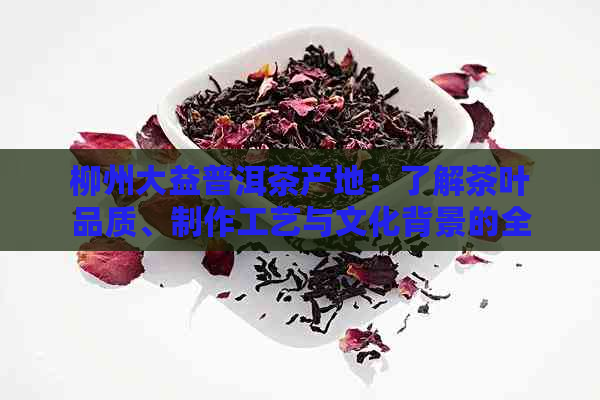 柳州大益普洱茶产地：了解茶叶品质、制作工艺与文化背景的全方位指南