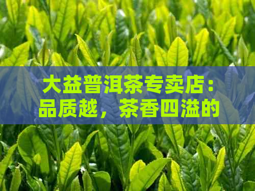 大益普洱茶专卖店：品质越，茶香四溢的购物体验