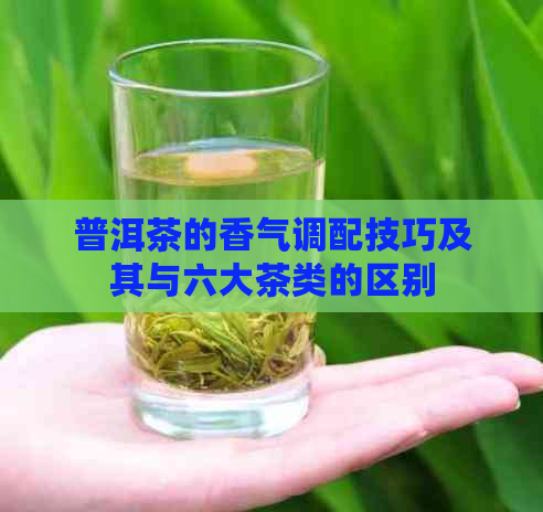 普洱茶的香气调配技巧及其与六大茶类的区别