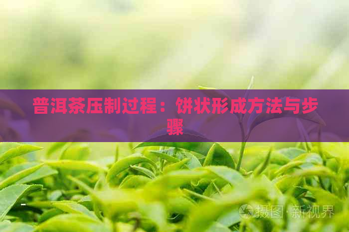 普洱茶压制过程：饼状形成方法与步骤