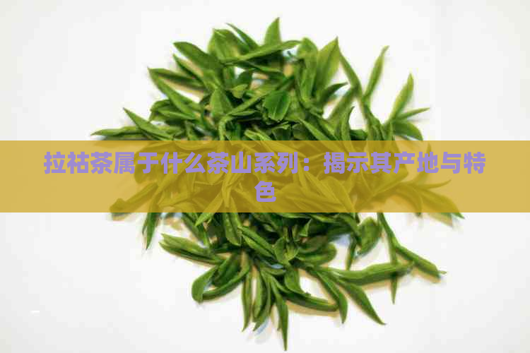 拉祜茶属于什么茶山系列：揭示其产地与特色