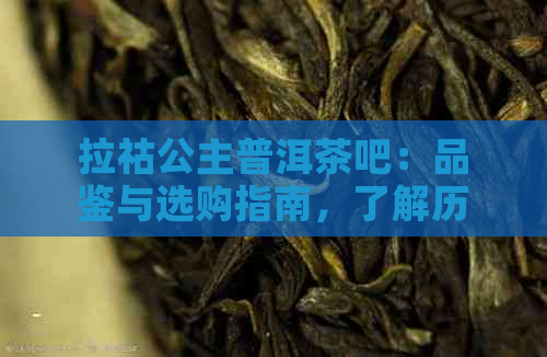 拉祜公主普洱茶吧：品鉴与选购指南，了解历与文化传承，享受独特口味体验