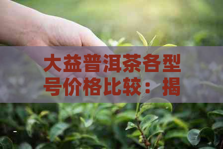 大益普洱茶各型号价格比较：揭秘最昂贵的茶品系列