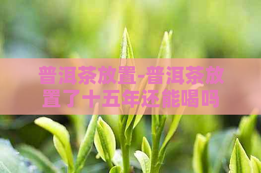 普洱茶放置-普洱茶放置了十五年还能喝吗