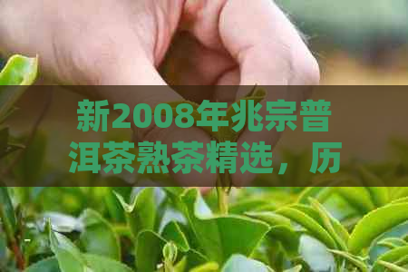 新2008年兆宗普洱茶熟茶精选，历经时光沉淀的特殊风味