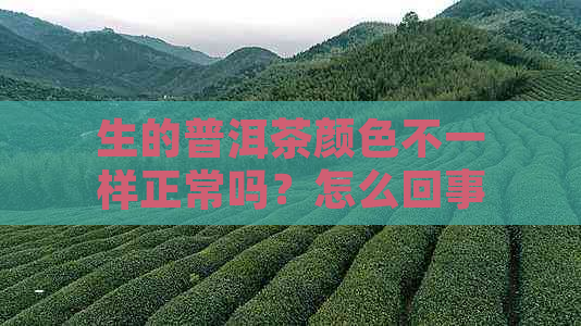 生的普洱茶颜色不一样正常吗？怎么回事？能喝吗？