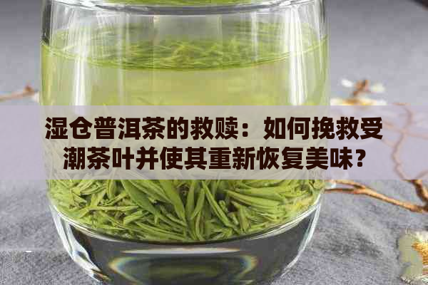 湿仓普洱茶的救赎：如何挽救受潮茶叶并使其重新恢复美味？