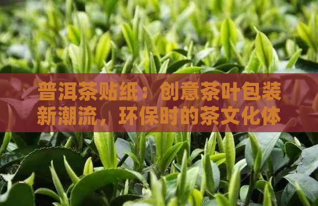 普洱茶贴纸：创意茶叶包装新潮流，环保时的茶文化体验