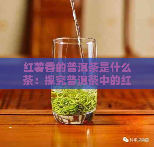 红薯香的普洱茶是什么茶：探究普洱茶中的红薯香