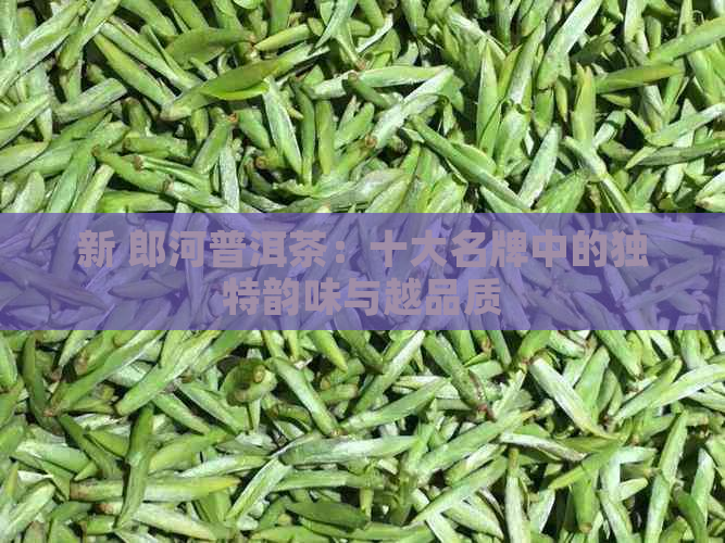 新 郎河普洱茶：十大名牌中的独特韵味与越品质