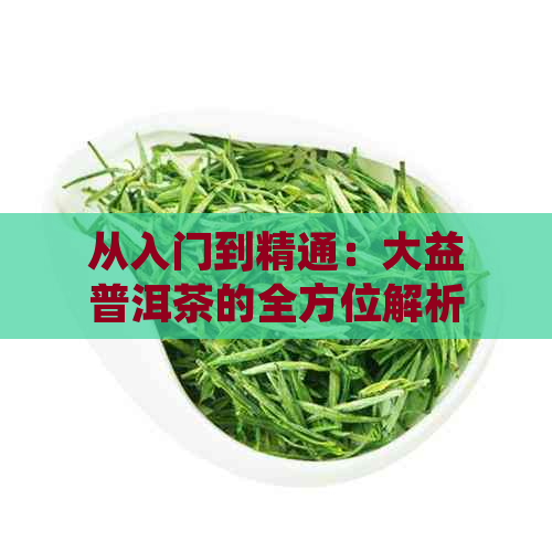 从入门到精通：大益普洱茶的全方位解析和收藏指南