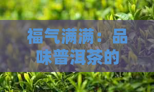 福气满满：品味普洱茶的魅力与功效，探寻有福人家的茶道文化