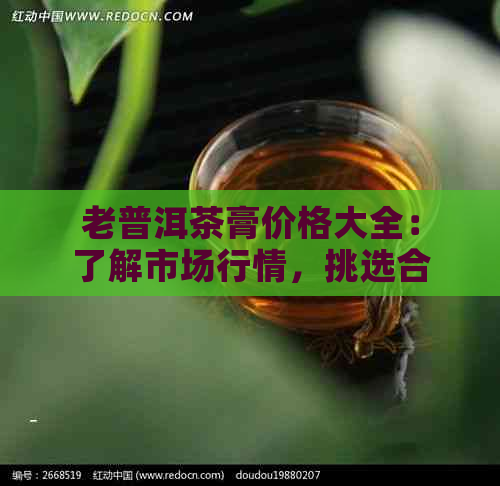 老普洱茶膏价格大全：了解市场行情，挑选合适产品