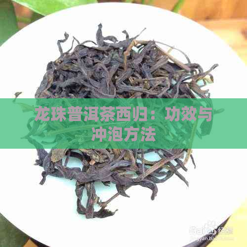 龙珠普洱茶西归：功效与冲泡方法