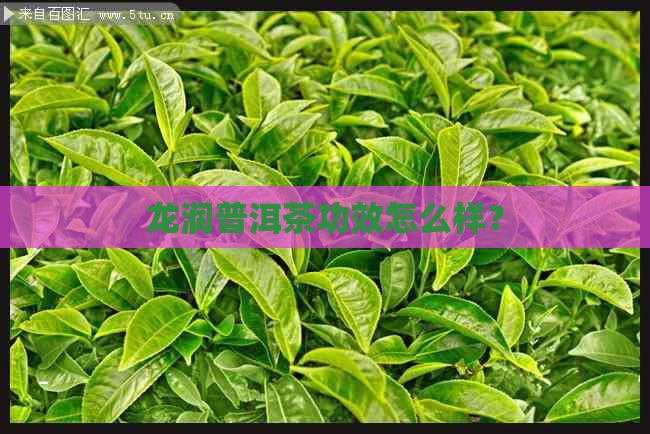 龙润普洱茶功效怎么样？