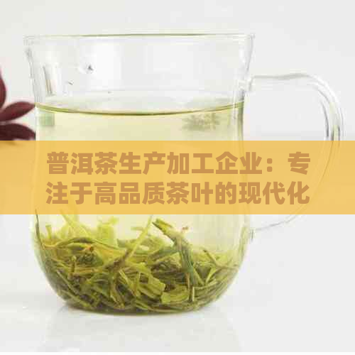 普洱茶生产加工企业：专注于高品质茶叶的现代化工厂