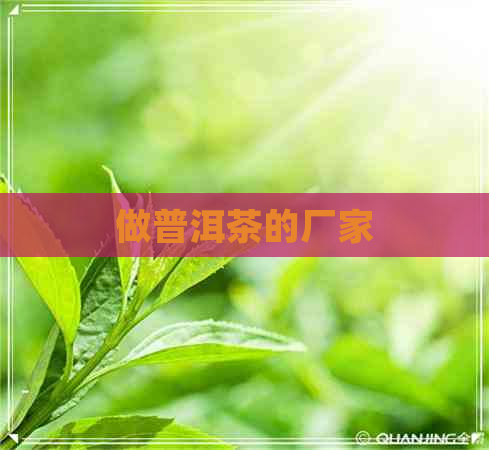 做普洱茶的厂家