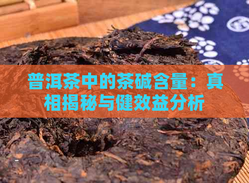 普洱茶中的茶碱含量：真相揭秘与健效益分析