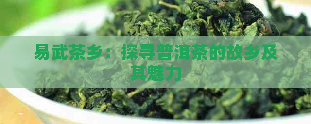 易武茶乡：探寻普洱茶的故乡及其魅力