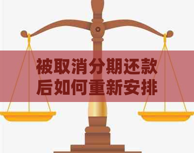 被取消分期还款后如何重新安排还款计划？了解这些方法帮你轻松应对！