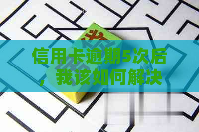 信用卡逾期5次后，我该如何解决信用问题并重新建立良好信用记录？