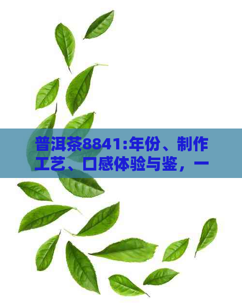 普洱茶8841:年份、制作工艺、口感体验与鉴，一份全方位指南