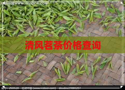 清风茗茶价格查询