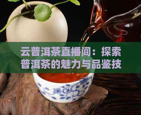 云普洱茶直播间：探索普洱茶的魅力与品鉴技巧，小姑带你深入了解！