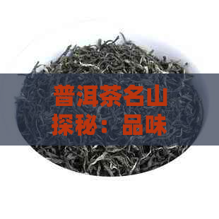 普洱茶名山探秘：品味世界著名茶山的独特魅力与风味