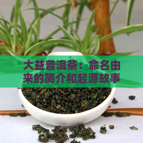 大益普洱茶：命名由来的简介和起源故事