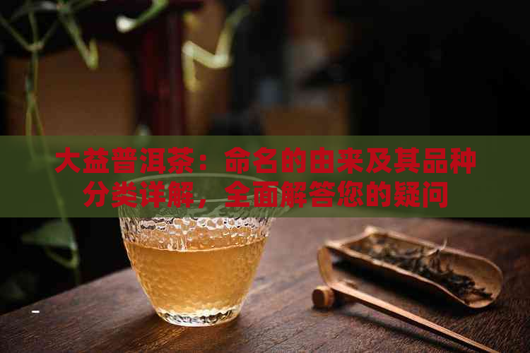 大益普洱茶：命名的由来及其品种分类详解，全面解答您的疑问