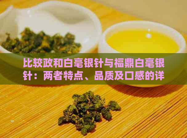 比较政和白毫银针与福鼎白毫银针：两者特点、品质及口感的详细剖析