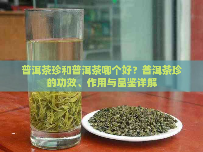 普洱茶珍和普洱茶哪个好？普洱茶珍的功效、作用与品鉴详解