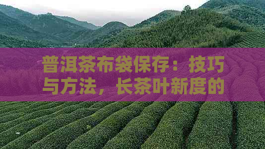 普洱茶布袋保存：技巧与方法，长茶叶新度的关键