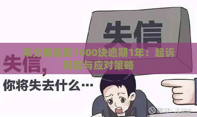 来分期逾期1000块逾期1年：起诉风险与应对策略