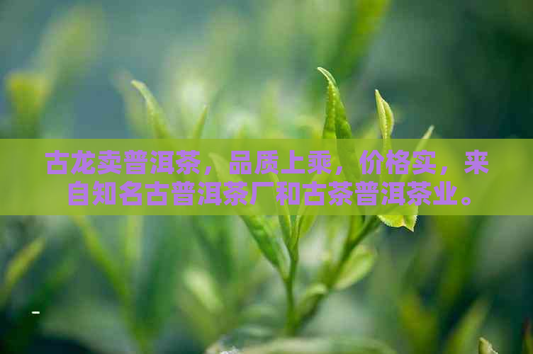 古龙卖普洱茶，品质上乘，价格实，来自知名古普洱茶厂和古茶普洱茶业。