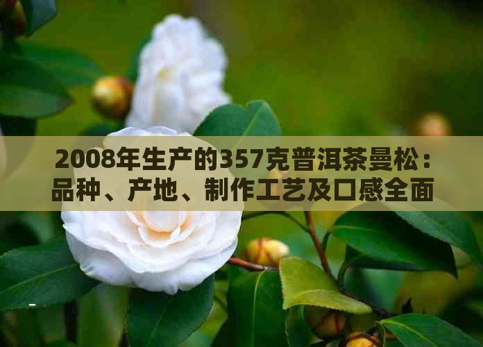 2008年生产的357克普洱茶曼松：品种、产地、制作工艺及口感全面解析