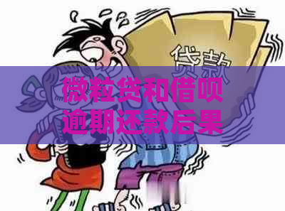 微粒贷和借呗逾期还款后果详解：如何避免信用受损及额外费用