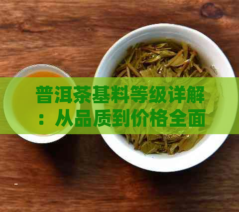 普洱茶基料等级详解：从品质到价格全面解析，帮助您选购合适的普洱茶