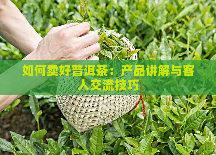 如何卖好普洱茶：产品讲解与客人交流技巧